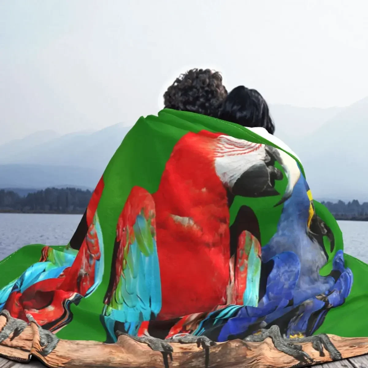 Cockatiel �� ��� �ö��� ���� ���� �ܿ�, ���� �޹��� ���� �ε巯�� ������ ���, ħ�� �繫�� ħ�뺸