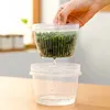 350ml Condiments Crisper Refrigerator Chopped Green Onion Storage Box, Scallion, Ginger and Garlic Drainage Fresh-keeping Box 6