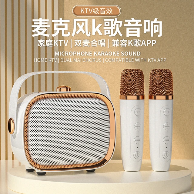 100W YS-203 Portable Professional Karaoke Dual Microphone Bluetooth Speaker  Wireless Stereo Bass Subwoofer Karaoke Family Party - AliExpress