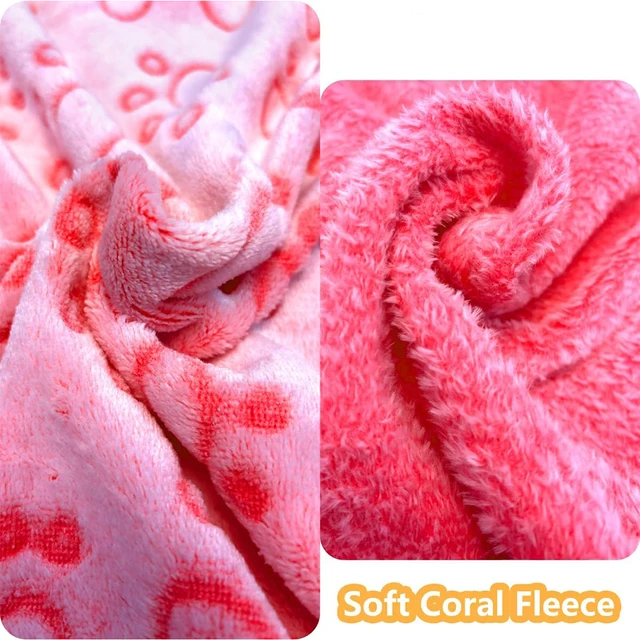 Paw Print Dog Blanket 4