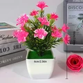 1pc Pink Sakura