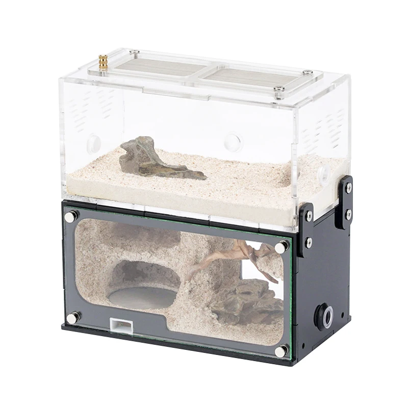 Concrete Ant Farm With Decorate Root Ant Nest Unlimited Vertical Expansion Anthill Ant House