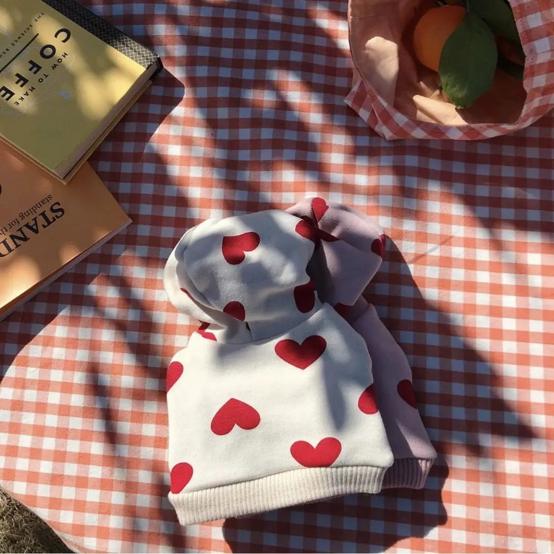 Sudadera con capucha para perros pequeños y medianos con corazón_voghion.com