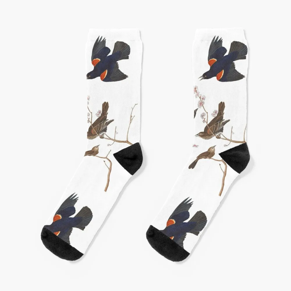 

Red-winged Blackbird / Vintage birds prints and patterns Socks anime Stockings cartoon soccer anti-slip Socks Men's Women's