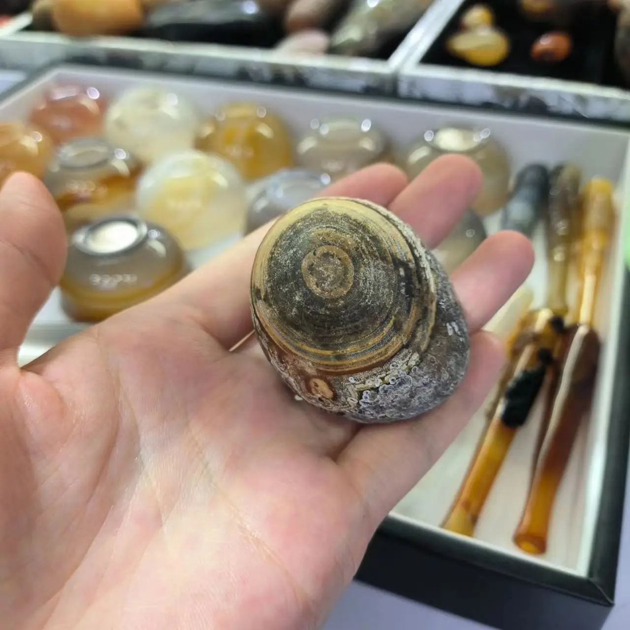 1pcs/lot Wonderful Natural gobi Agate mysterious pattern rare large size strong energy strange stone collection jewelry amulet