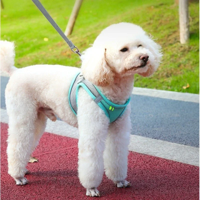 ݷ ݻ ϳ׽,    ϳ׽ ,  ׵ Ű, ߿ å  ,   Ʈ