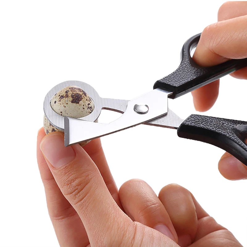 

Quail Egg Scissors Bird Egg Scissors Stainless Steel Egg Cutters Eggshell Cutters Egg Opener Kitchen Hand Tools Scissors