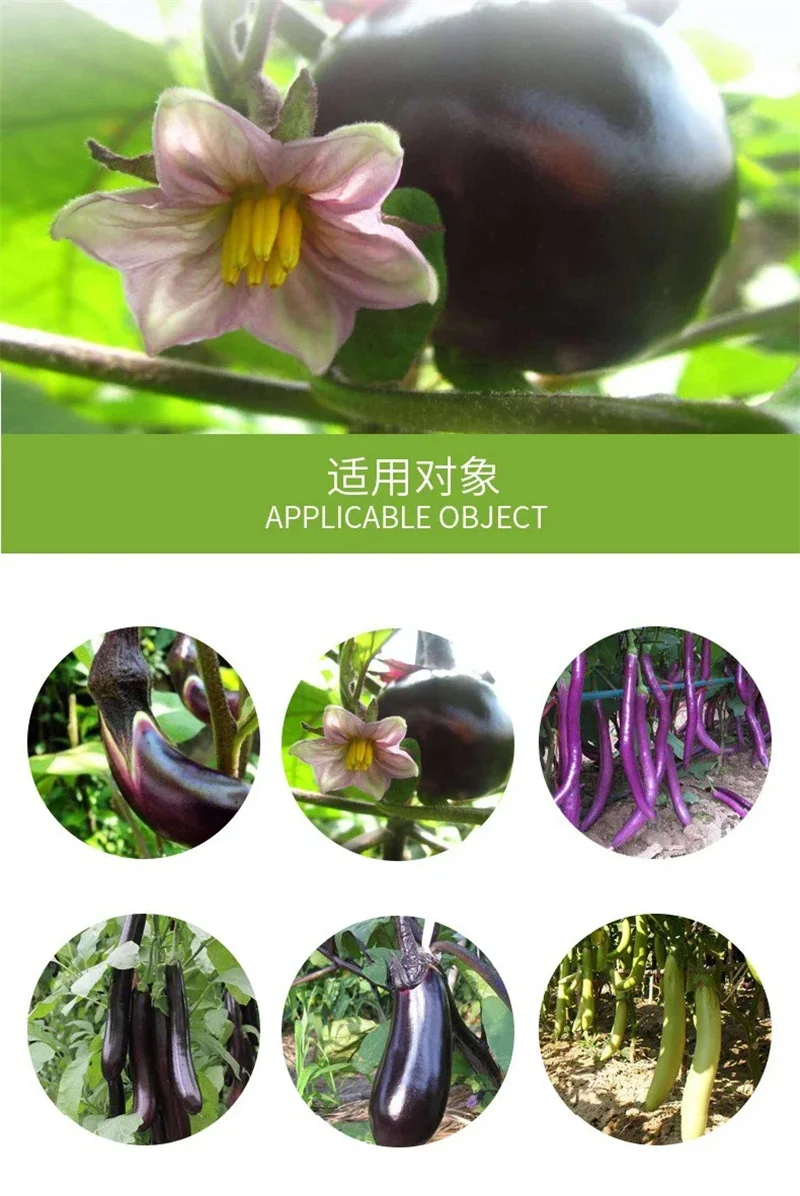 Description Picture 2 of itemFertilizer for Tomatoe and Eggplant Vegetable Fast Rooting Garden Plant Food Promote Rhizome Growth Root Crop Hydroponics Farm