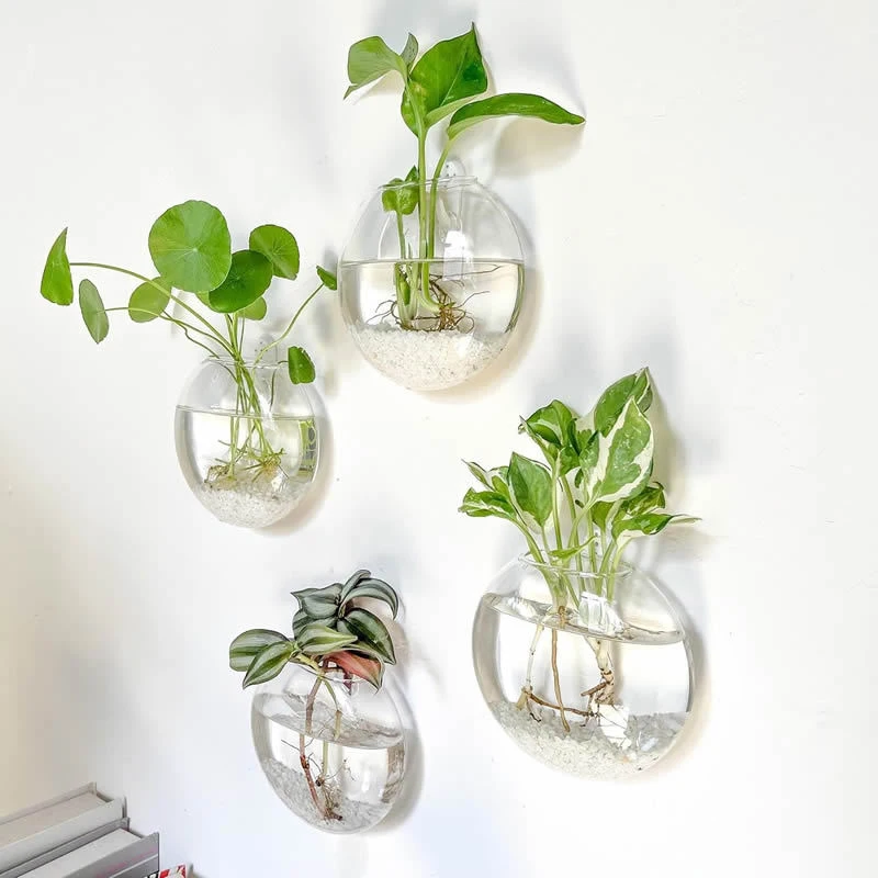 Wall-Mounted Glass Plant Terrarium 1