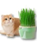 Hierarchical Design Cat Grass Cultivation Cup with Soilless Cultivation Reusable Catnip Growing Container Seed Germination Tray 6