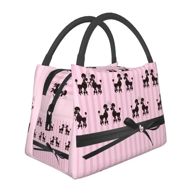 

Poodles And Pink Hearts Insulated Lunch Bags Kawaii Poodle Dog Portable Lunch Tote for Outdoor Camping Travel Meal Food Box