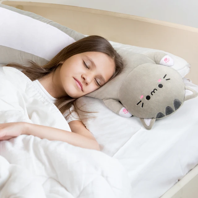 Cat Sleeping Cat With Anime Pillow Sleeping Pillow Large Animal