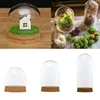 24 X Dia 10cm Tabletop Display Glass Dome Cloche Cover Decor Handmade Craft Dry Flower Ornaments Bell Jar With Wooden Base 4