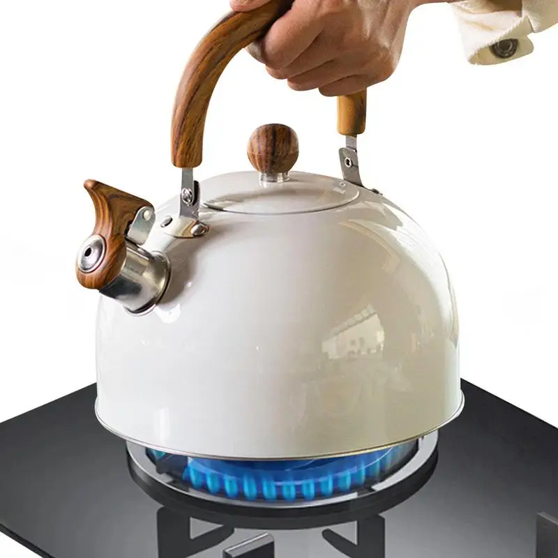  Rust Proof Tea Kettle