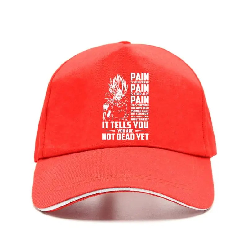 

Red panda Baseball Cap