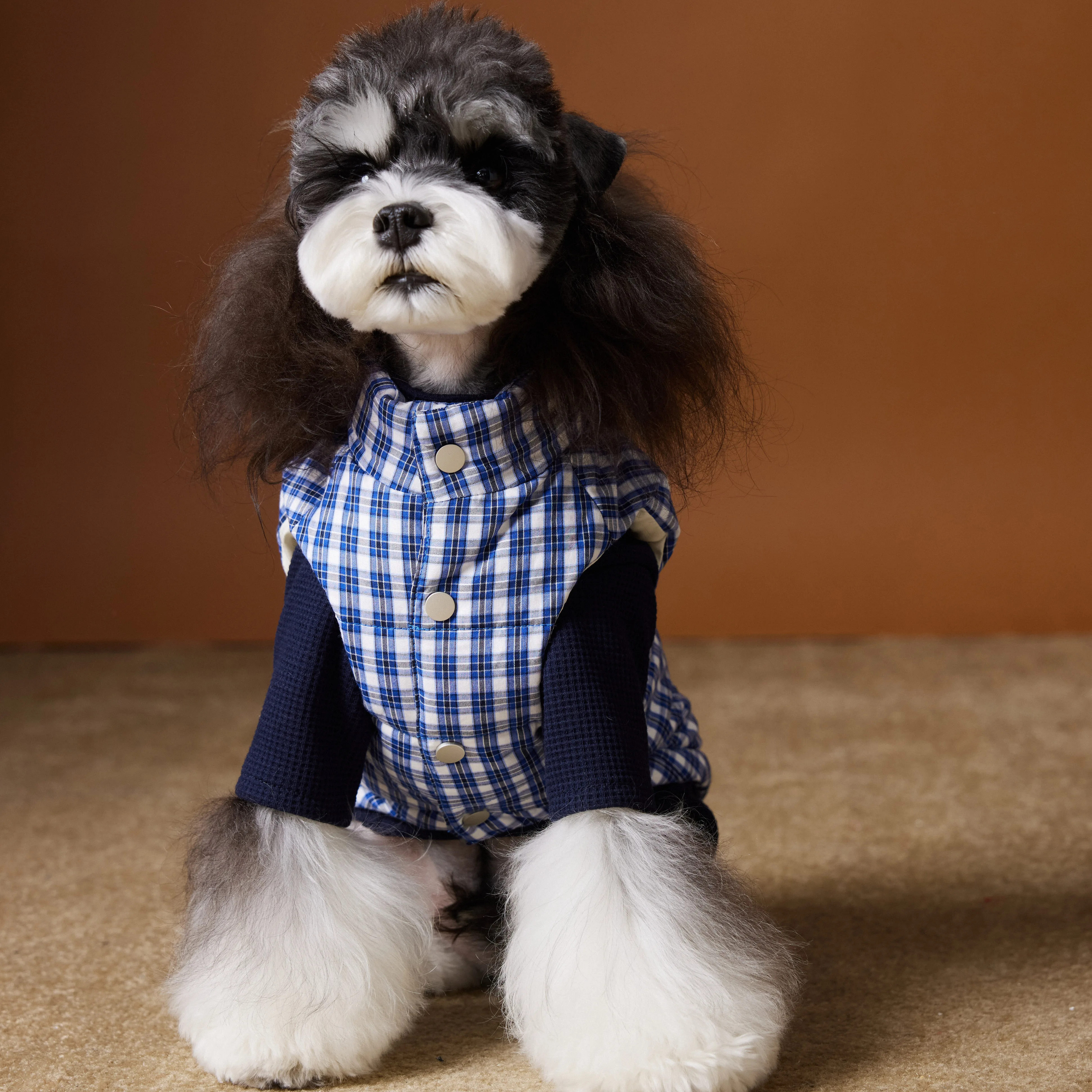 Padded Puppy Cat Clothes With D Rings Winter Warm Dog Jacket for Small Dogs Chihuahua Vest French Bulldog Coat Yorkie Outfits