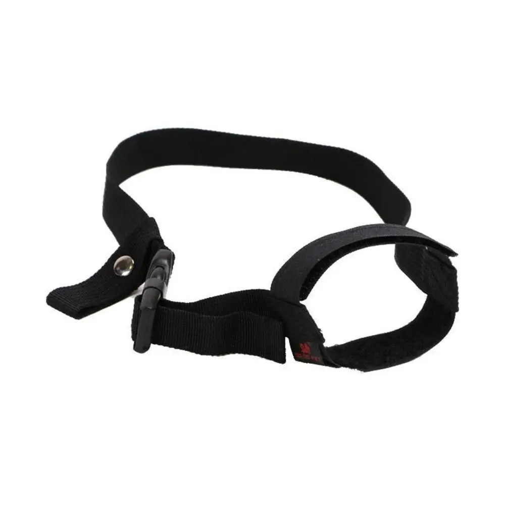 Bozal Para Perro Pequeño | Los Mejores Precios Online