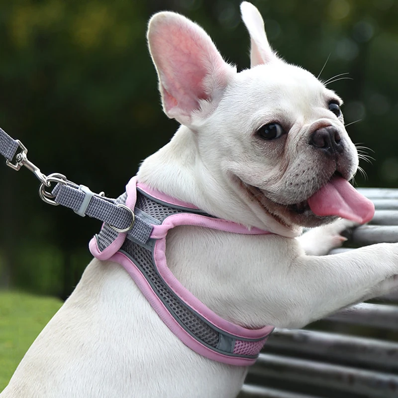 Summer French Bulldog Pet Vest Harnesses Breathable Puppy Dog