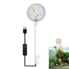 USB-Plug Aquarium Mini Lamp LED Fish Tank Colored Lights Accessories Fishbowl Landscaping Reptile Animals Crap Goldfish Turtle 5