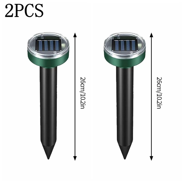 Circle 2pc