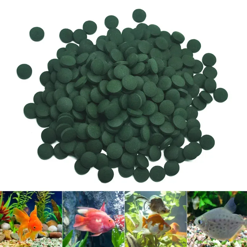 100/200/500Pcs High Purity Spirulina Tablets Spiral Seaweed Enrichment Favorite Pets Food Crystal Red Shrimp Fish Food Aquarium