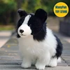 Border Collie Plush Toy High Fidelity Plushie Shepherd Dog Peluche Lifelike Stuffed Animals Simulation Doll Kawai Toy Gifts Kid 1