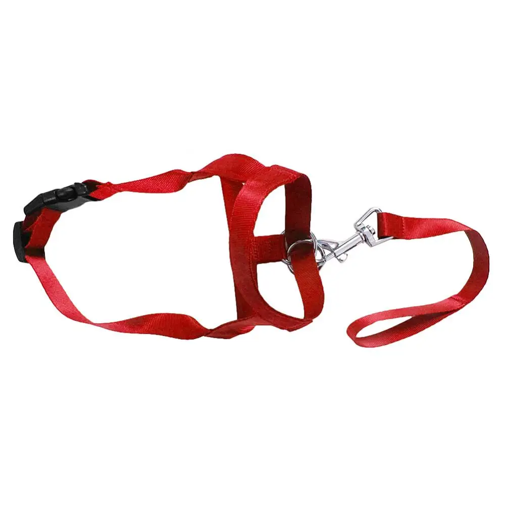 Anti Bite Adjustable Leader Belt Dog Pet Collar No Pull Bite Straps Harness Head Collar Muzzle Halter Training Leash
