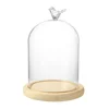 Valentines Day Gift Preserved Flower Glass Covered Dome with Bird Handle Wooden Base Valentines Day Mothers Day Gifts For Women 1