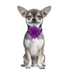 50/100PCS Flower-Collar Dog Flower Collar Remove Dog Bowtie Collar Accessories Dogs Pets Bow Ties Collar For Small-Large Dogs 2