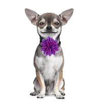 50/100PCS Flower-Collar Dog Flower Collar Remove Dog Bowtie Collar Accessories Dogs Pets Bow Ties Collar For Small-Large Dogs 2