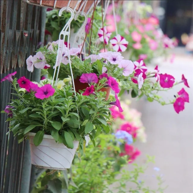 10 db Növényi Akasztó Makrame Függő Virágcserepek Tartó Kerti Ültetvényes Horgok Otthoni Dekoráció Kertész Virágvirág Állvány Horog - Image 6