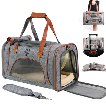Pet bag aviation license to go out 1