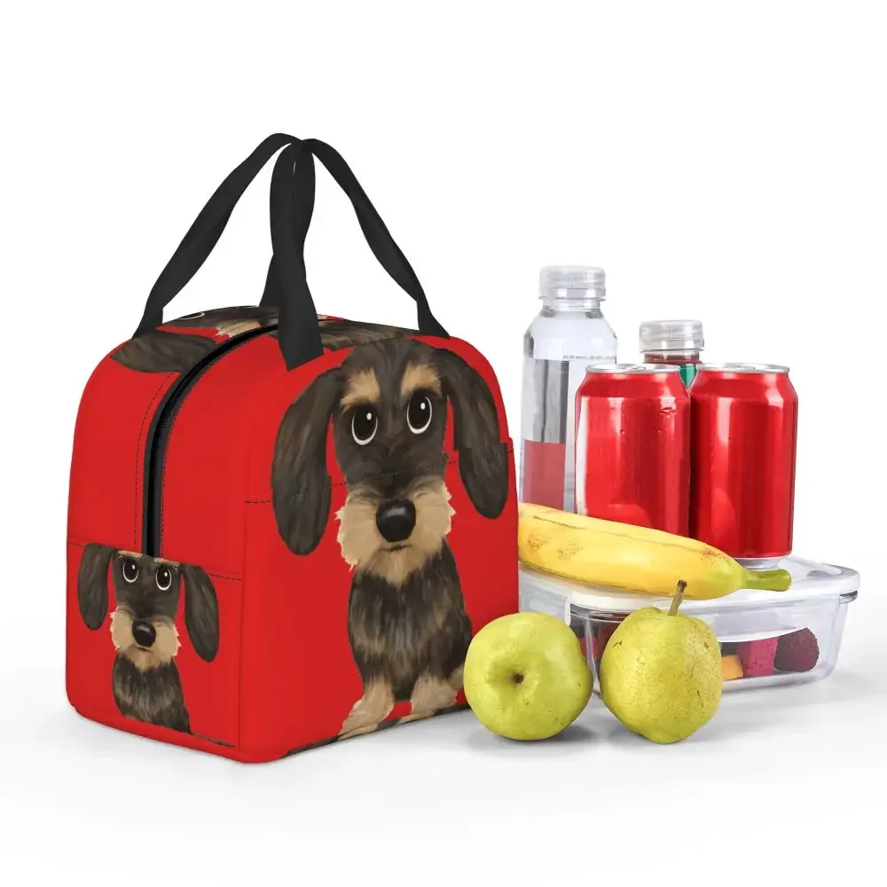 wirehaired-dachshund-lunch-bag-leakproof-thermal-bento-box-tote