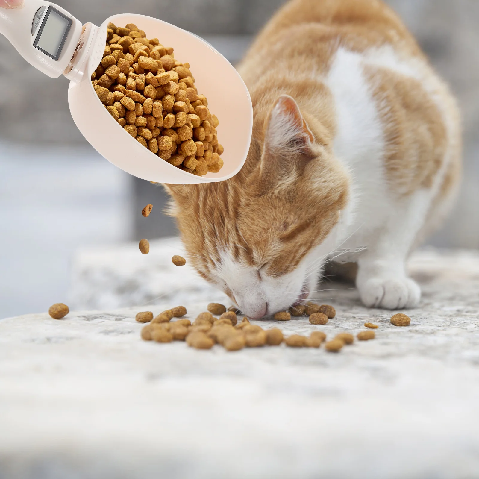 

Weighing Measuring Spoon Pet Food Spoons Dog Multifunctional Abs Electronic Kitchen