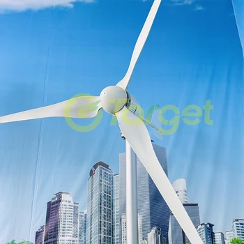 20000W 12V 24V 48V Horizontal Wind Power Turbine Generator For Home Farm Windmill 3 Blades 30000W Magnet Electric Alternator