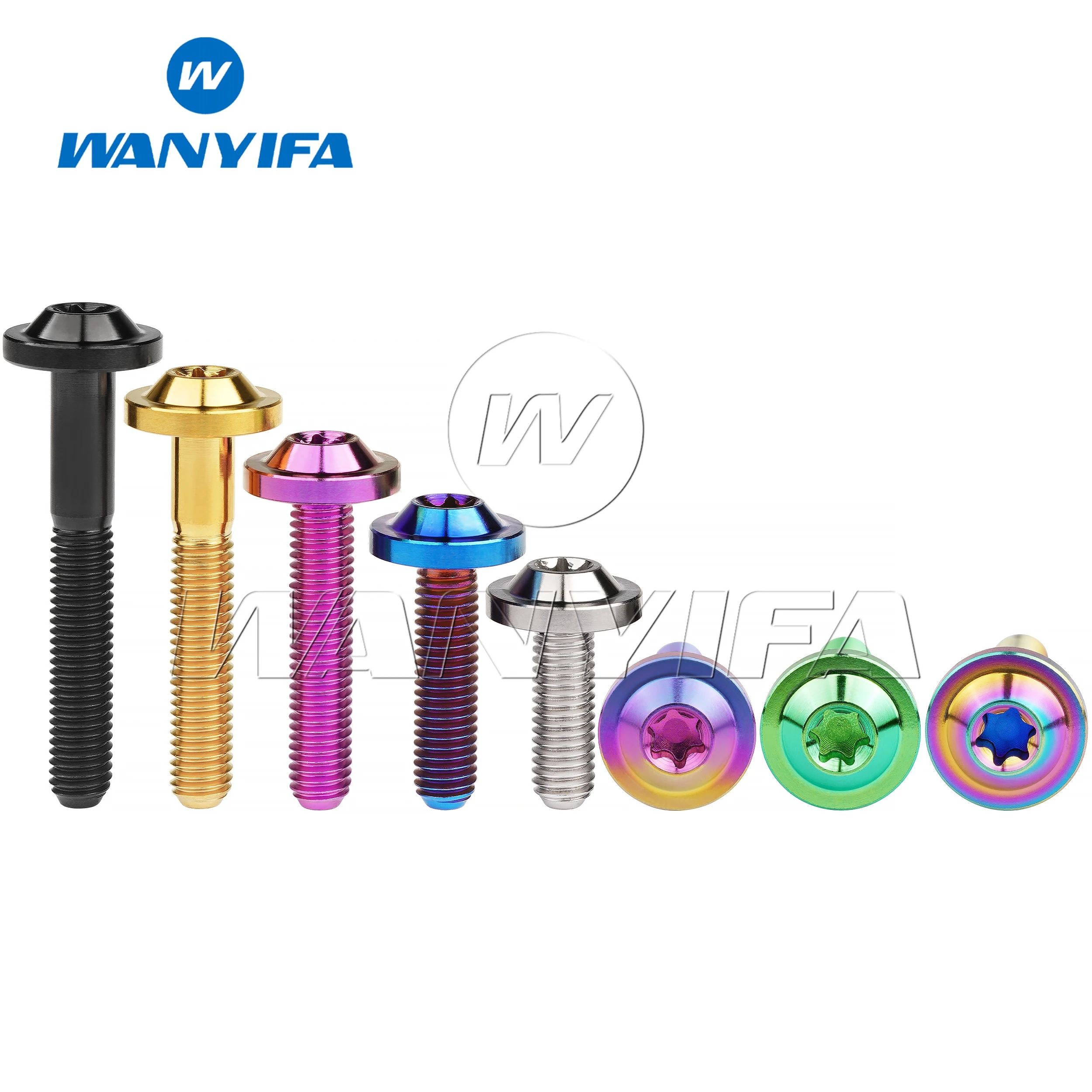 Titanium Ti Bolt M5x10/12/15/20/25/30/35mm Torx T25 Head Screws Ride Modification Fastener