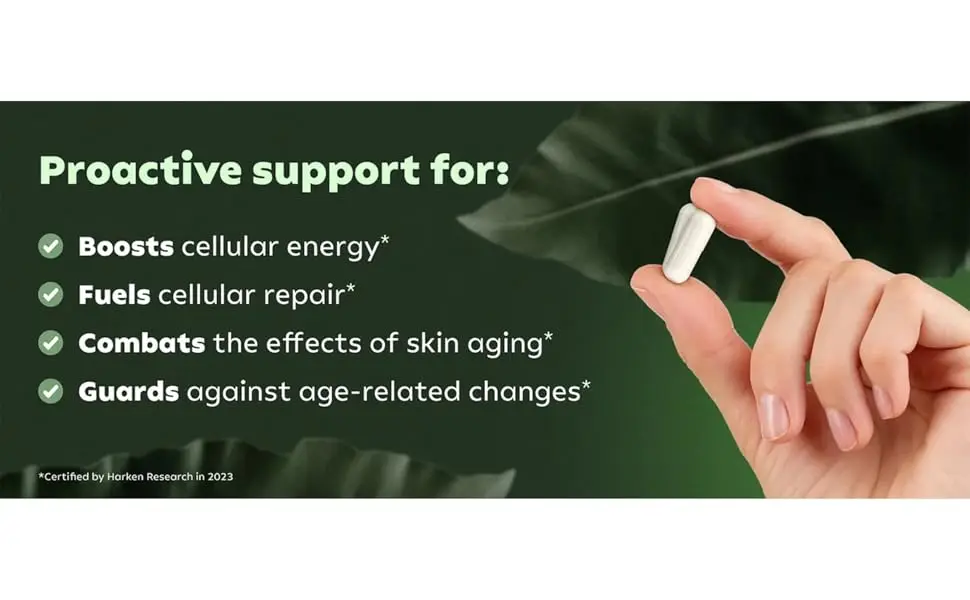 NAD+ Supplement