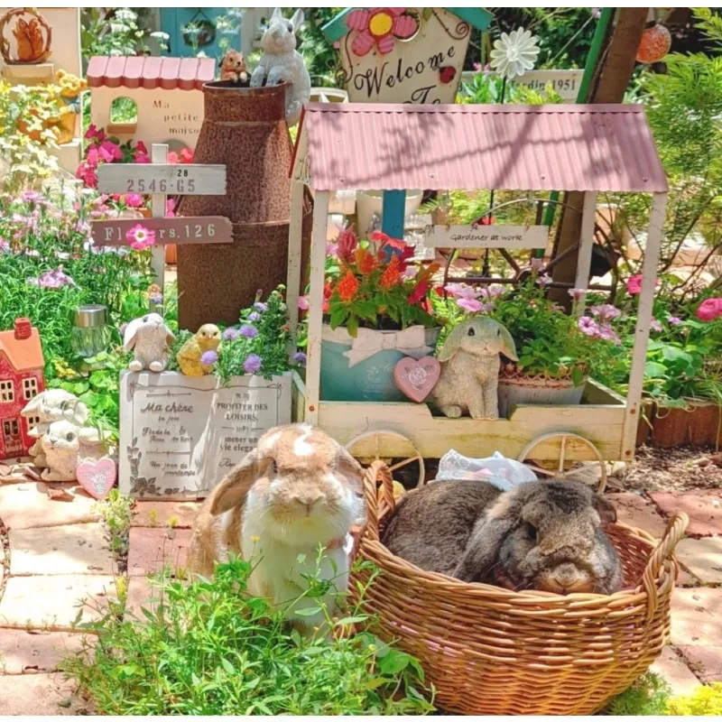 รูปสินค้า Ins เรซิ่นดอกไม้หม้อภาษาอังกฤษ Book-Shaped Planter Aesthetic Garden Decor สําหรับในร่มปฏิบัติ & Stylish บ้านสวนตกแต่ง