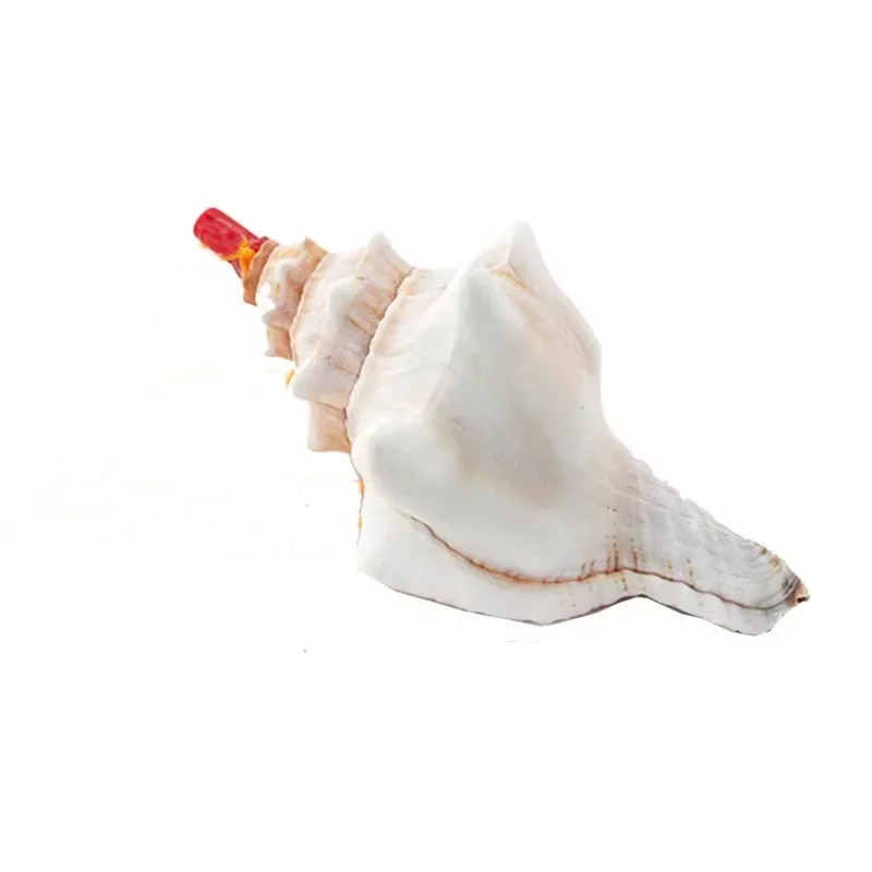 2026 여름 카니발 하와이 의상 액세서리 화환 머리 장식 모아나 오션 스타일 목걸이 발찌 바이아나 코스프레 소품 (어린이용)