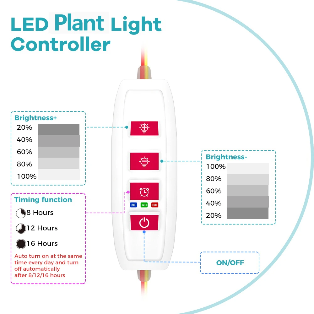 รูปสินค้า ไฟ LED สำหรับปลูกแคคตัส ดอกไม้ พืชอวบน้ำ