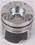 

Engine PISTON for 4180-000 PISTON + SEGMANI LAGUNA MASTER 2.2tdci 16V G9T (87,00)