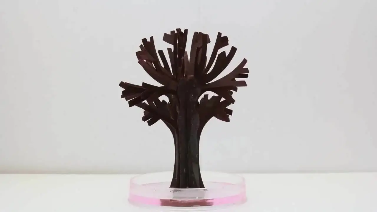 Meanju Albero di Natale magico, Magic Growing Christmas Tree, albero di carta magica, albero di cristallo fai da te, mini albero di Natale regalo per ragazzi e ragazze (albero di Natale