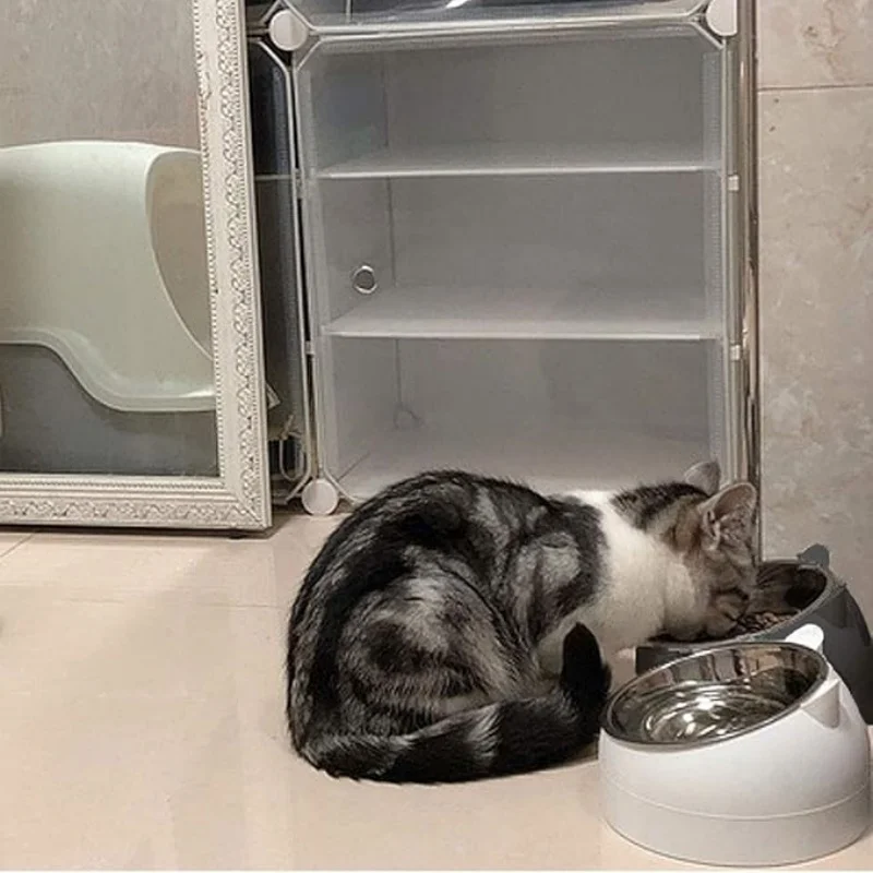 100ML Cat Dog Bowl 15 Degrees Raised Non Slip Puppy Base Food Drinking Water Feeder Tilt Safeguard Neck Pet Accessories pet food bowl