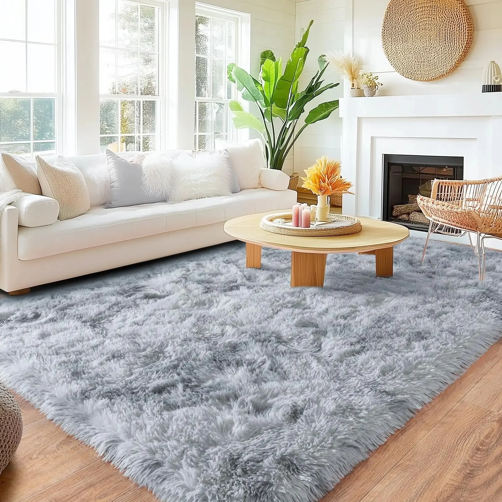 Soft Shaggy Area Rug 2