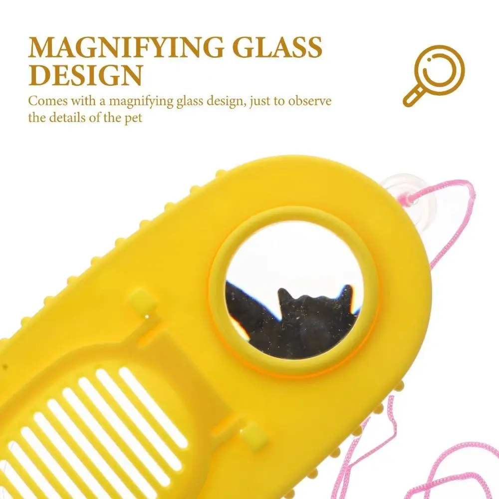 With Magnifying Glass Outdoor Nature Exploration Tool Explorer Kit Waterproof Camping Kit & Bug Catcher Kit Transparent