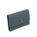 Gray blue 2050