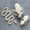 3pcs Taxidermy Combination Real Bone Skull, Home Decor, Specimen Collectibles Study, Special Gifts 1