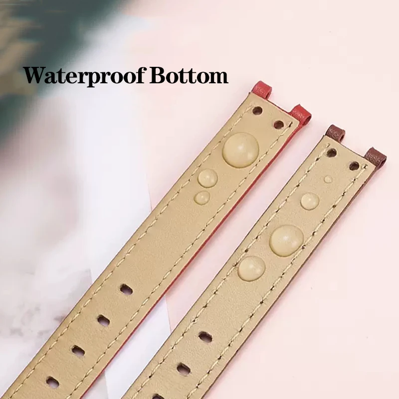 Anne Klein AK2156 AK2157 AK2618 AK1950 ġ  ̾ Ƽ ð ü  AK  12mm,   Ʈ