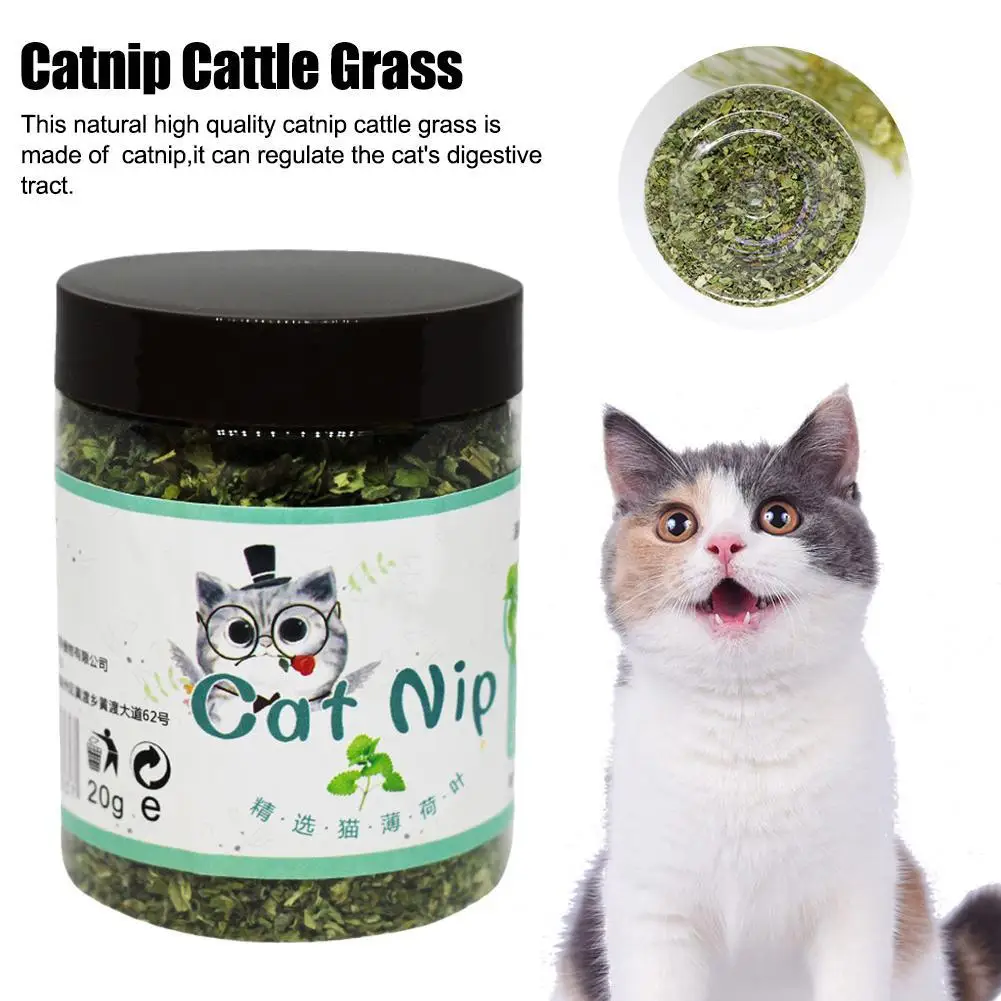 20g Catnip Cattle Grass Mint Taste Funny Cat Toy Interactive Cat Toys Pet Supplies