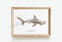 Marine Life Ocean Animals Canvas Art Poster - Whales, Sharks, and Turtles - 60X90cm Unframed (5)